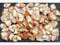 Чешуйки CR153 Ракушка глухая, 8,5 х 7 мм., латунь, 500 шт.